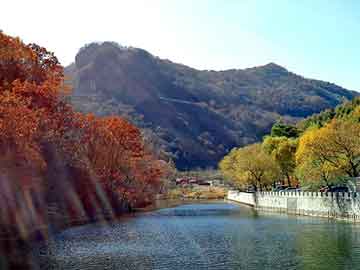 新澳天天开奖资料大全旅游团，南京广告节